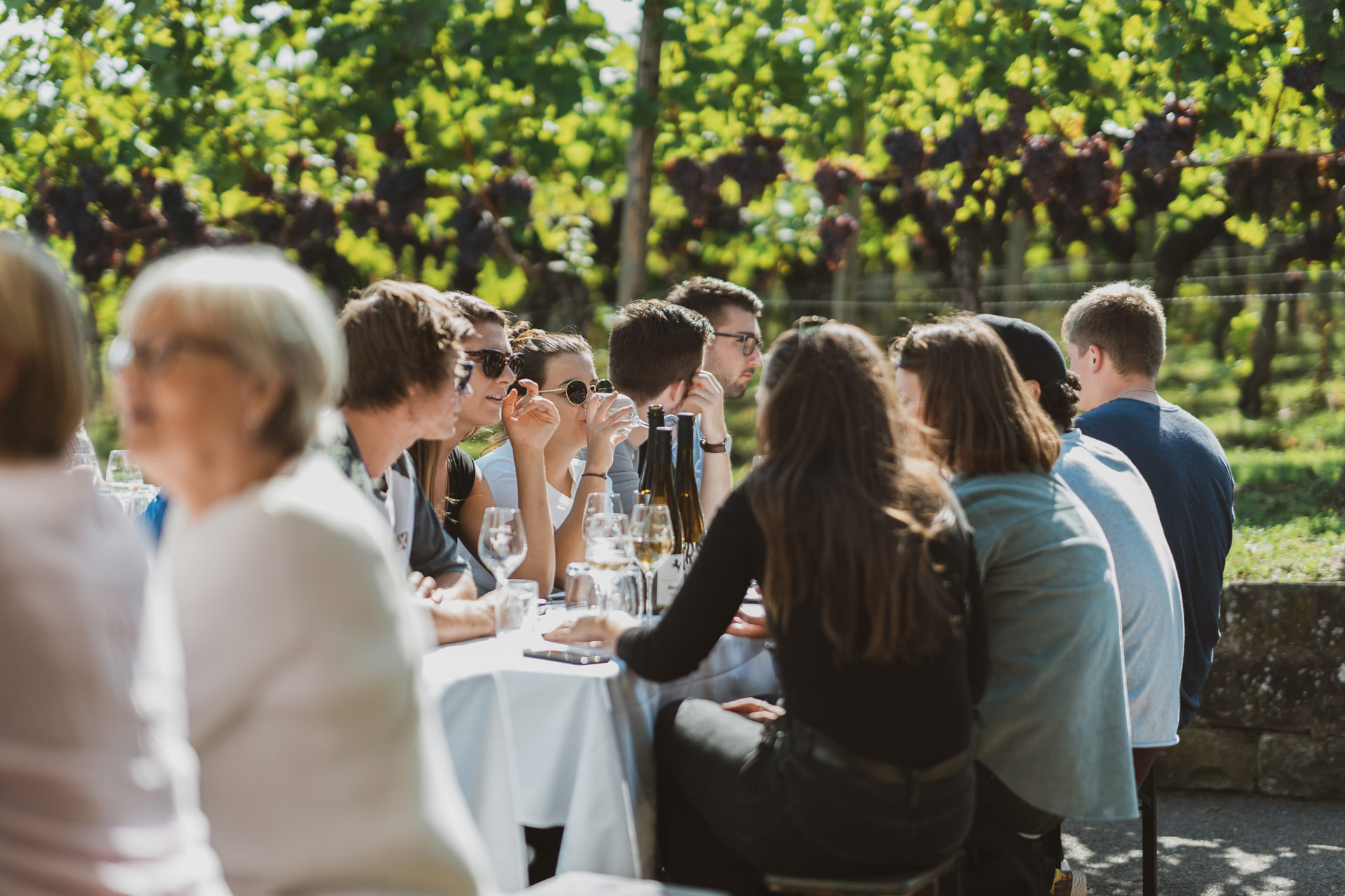 Weingut der Landeshauptstadt Stuttgart | Hocketse in der Stuttgarter Mönchhalde | Copyright Roya Fitz