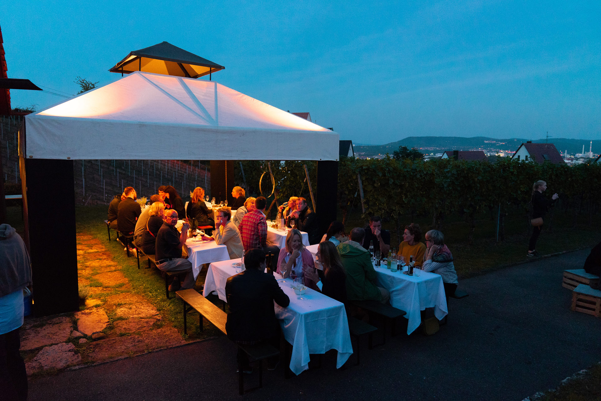 Weingut der Landeshauptstadt Stuttgart | Klanglese | Copyright Roya Fitz