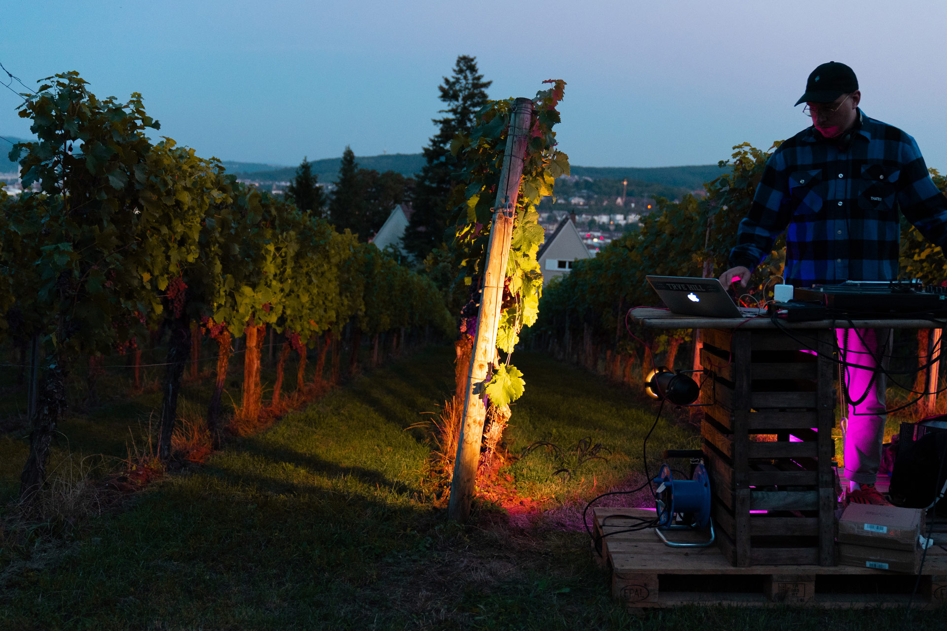 Weingut der Landeshauptstadt Stuttgart | Klanglese | Copyright Roya Fitz