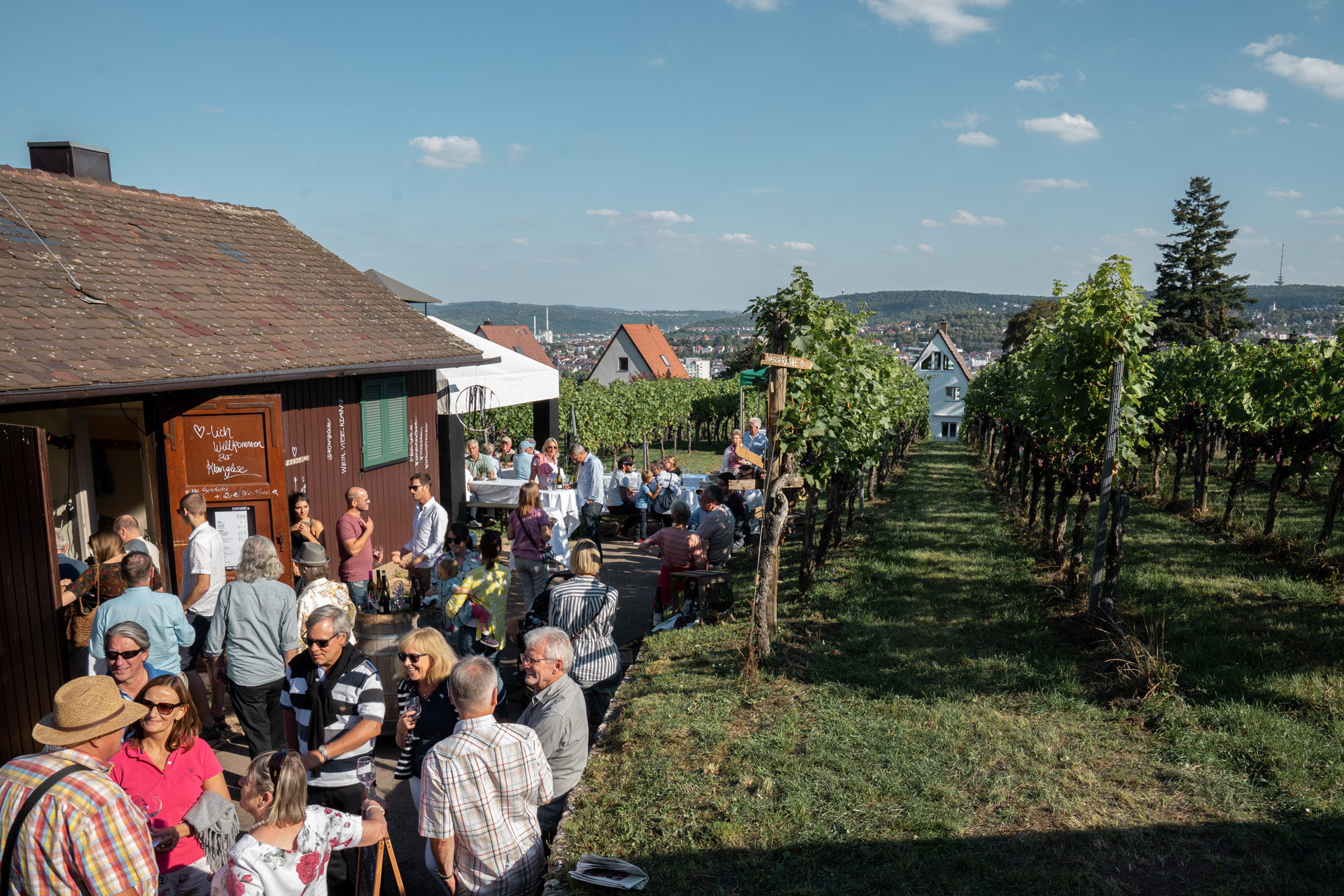 Weingut der Landeshauptstadt Stuttgart | Klanglese | Copyright Roya Fitz