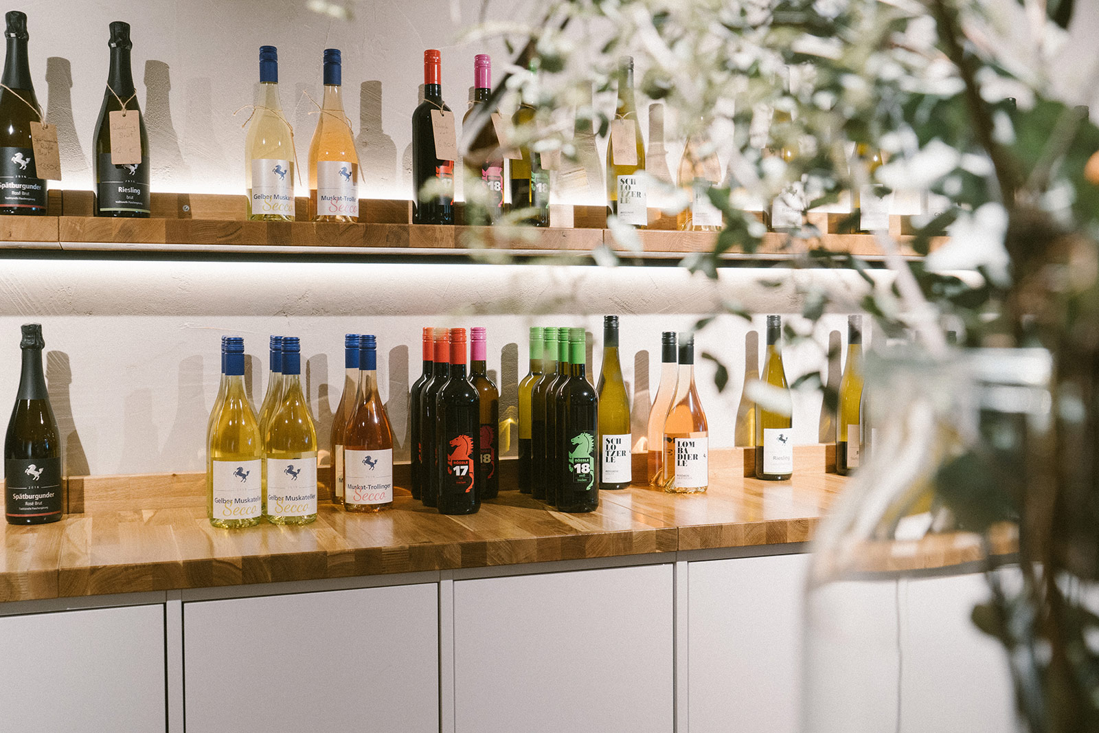 Weingut der Landeshauptstadt Stuttgart | Vinothek Schattenbruder